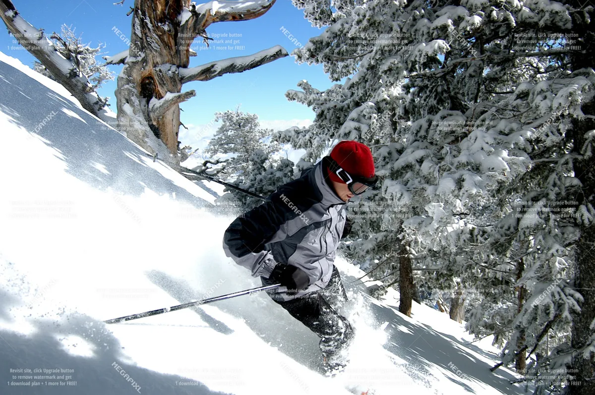 A skier carves their way down a snowy slope lined with trees, set against a backdrop of pristine mountain vistas. The snow is fresh and powdery, evoking the thrill and exhilaration of winter sports at a mountain resort.