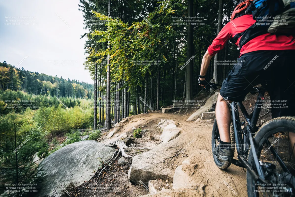 A mountain biker is seen navigating a rocky trail through a dense forest, with sunlight filtering through the trees. The dynamic setting captures the essence of adventure and the diverse outdoor activities available near the ranch.